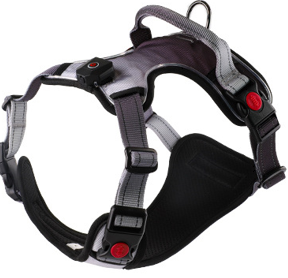 LeuchtPfote™