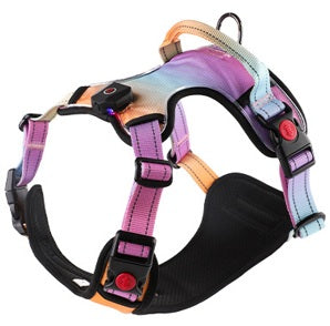 LeuchtPfote™